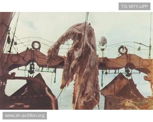 BTI体育登录入口常见问题解答,解决登录难题确保顺畅观看体育比赛