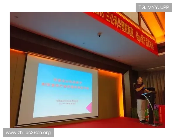 三公的玩法与规则全面解析帮助玩家理解游戏本质与提升整体竞技水平